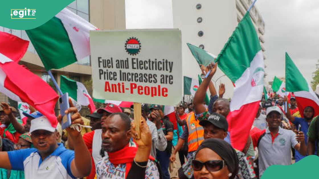 Yan kwadago Yan kwadago