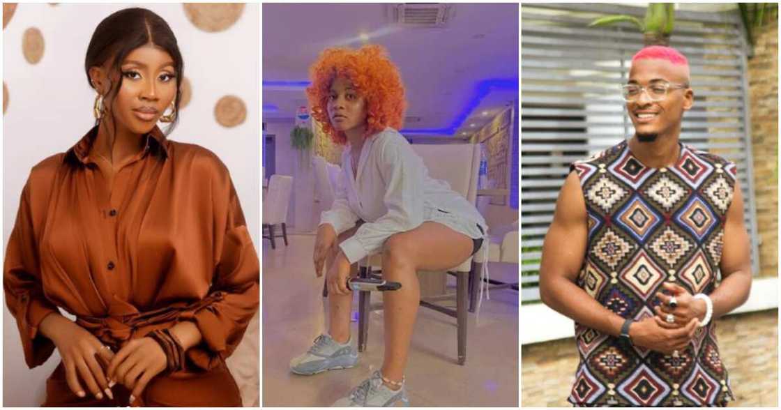 Photos of BBNaija stars Modella, Phyna and Groovy