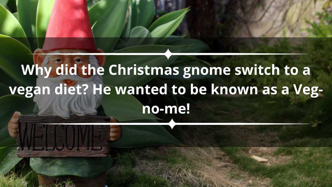 Christmas gnome Christmas gnome