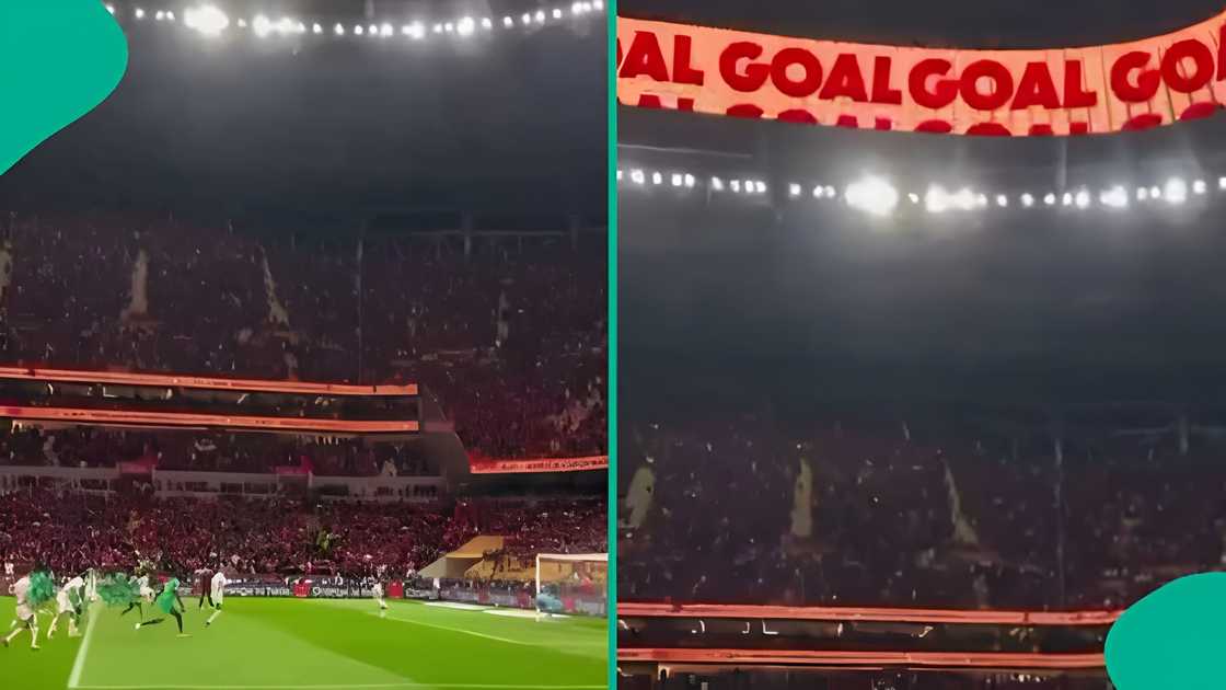 Young man grabs attention for spotting stadium banner mistake in AFCON final