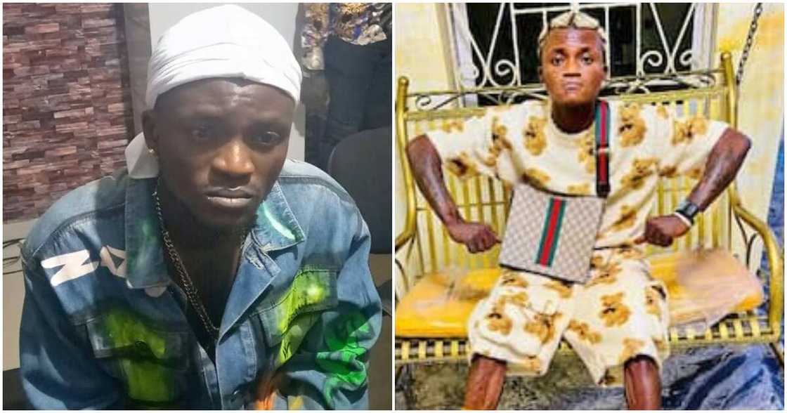 Portable Zazu, police Portable Zazu, police