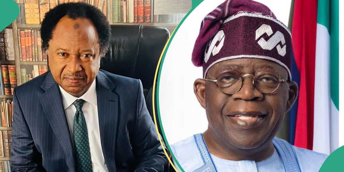 Shehu Sani Speaks on time to start critising Tinubu Shehu Sani Speaks on time to start critising Tinubu