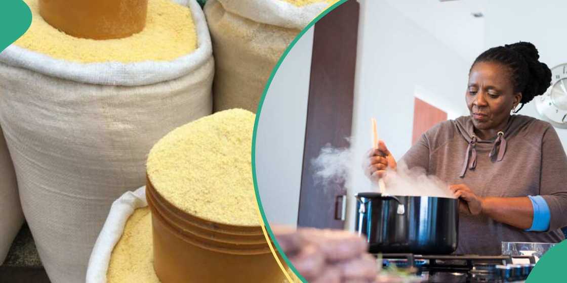 Cost of Garri Spikes Cost of Garri Spikes