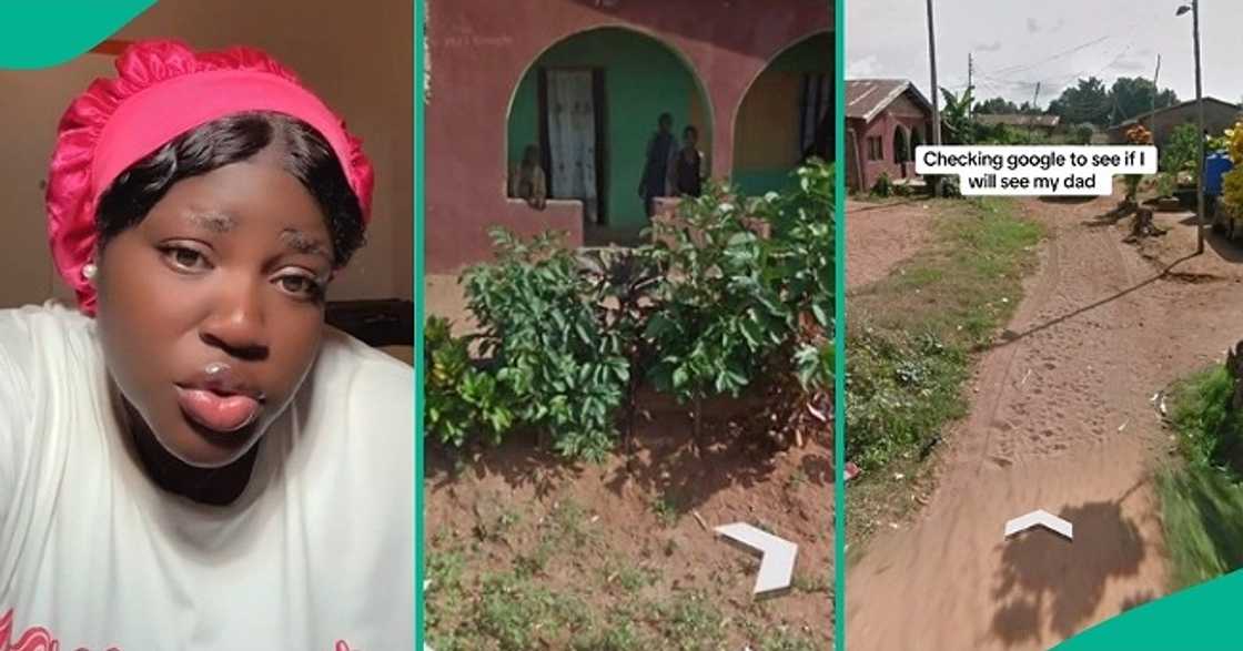 Lady uses Google Map to find late father, shares result