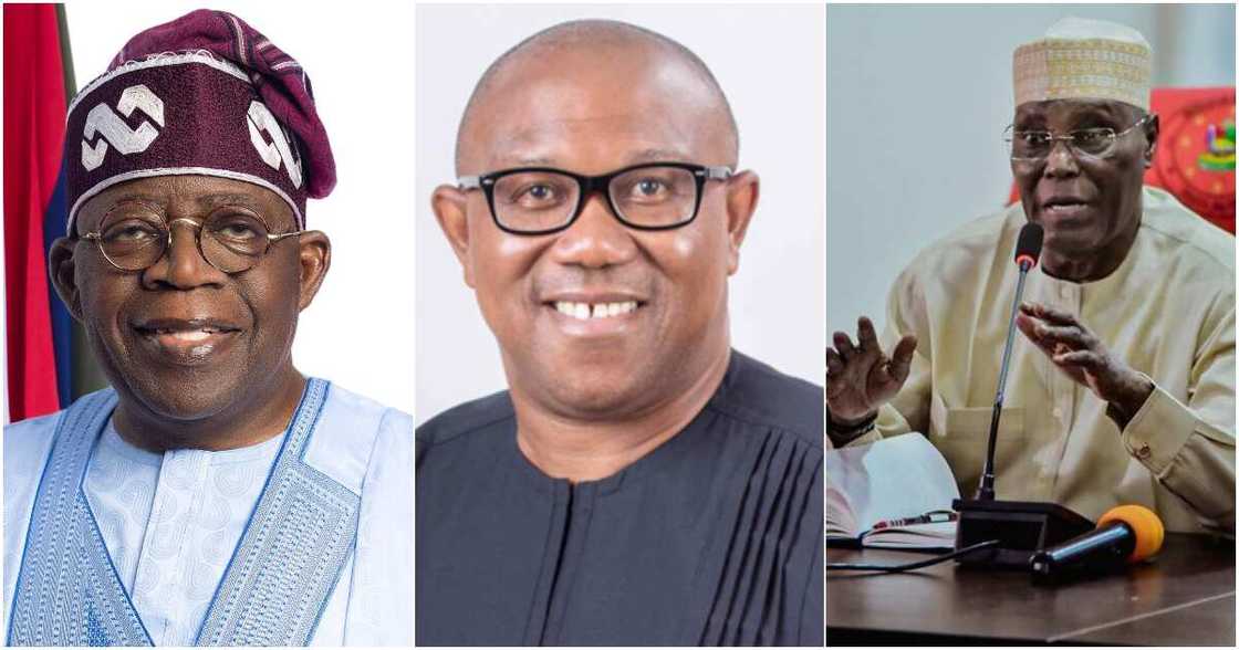 Bola Tinubu, Atiku Abubakar, Peter Obi, tribunal, Supreme Court