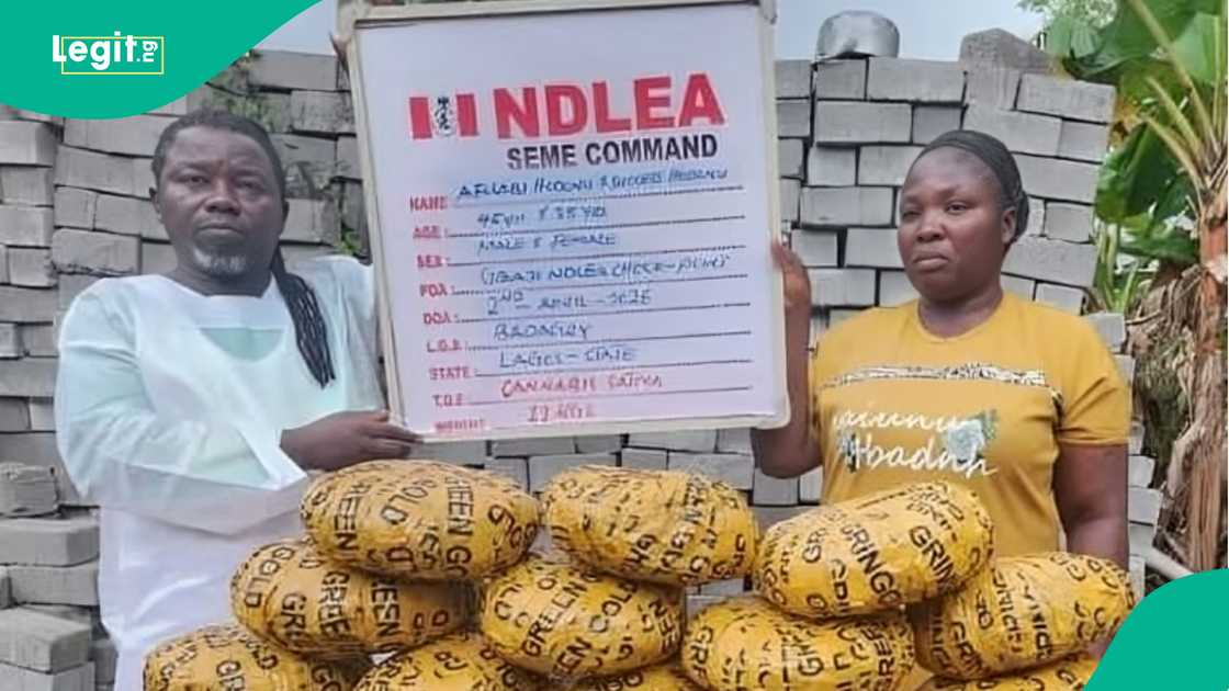 Anti‑narcotics agency intercepts cocain-e concealed in palm kernel tins at Lagos airport.