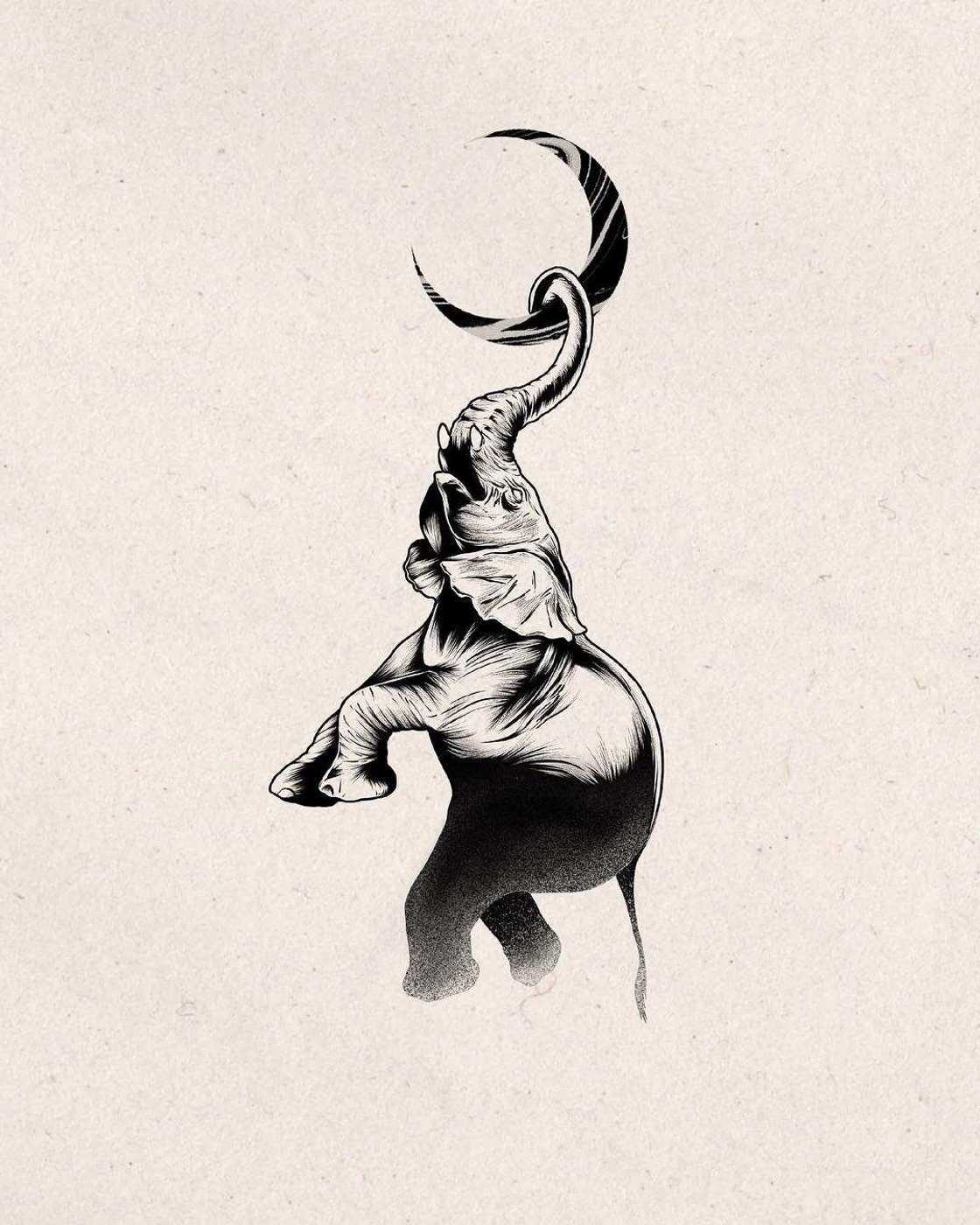 Elephant tattoo meaning Elephant tattoo meaning