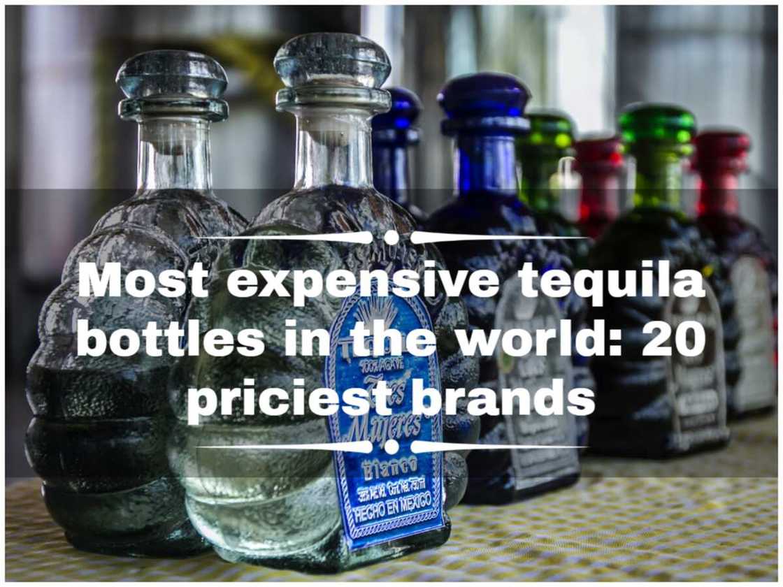 Most expensive tequila bottles in the world 20 priciest brands Legit.ng