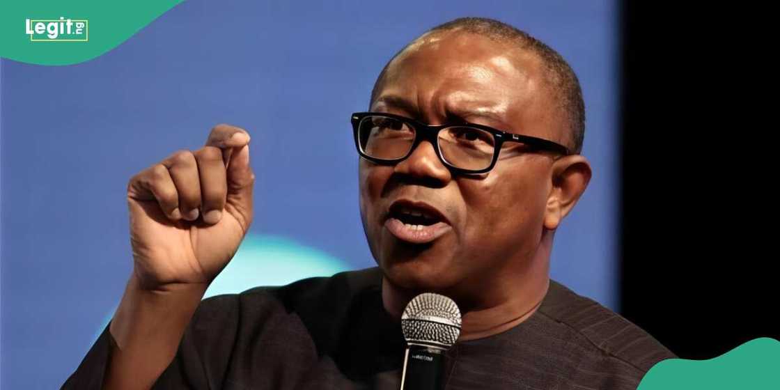 Labour Party 2023 presidential candidate speaks on the implication of major companies exiting Nigeria Labour Party 2023 presidential candidate speaks on the implication of major companies exiting Nigeria