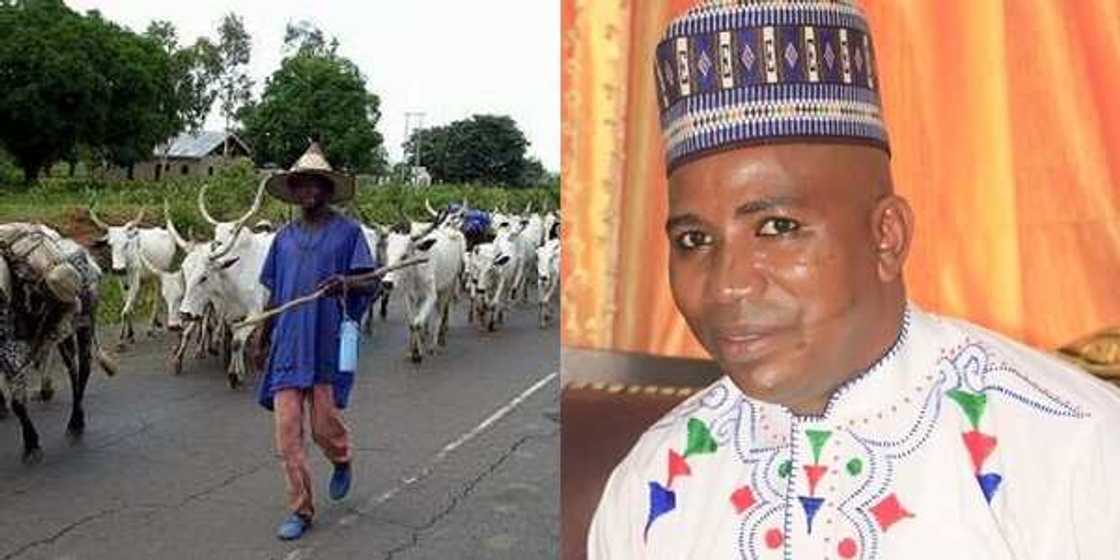 If you kill herder, don't sleep we'll retaliate, tension as Fulani cattle-rearers threaten If you kill herder, don't sleep we'll retaliate, tension as Fulani cattle-rearers threaten