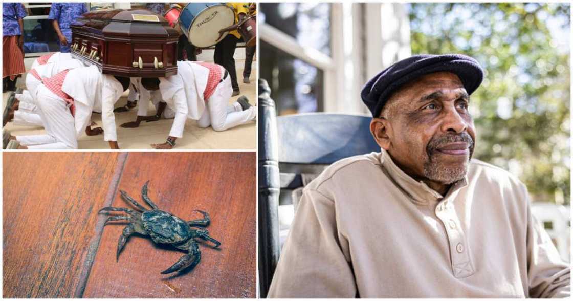 Dad, crab, 11pm 8th April 2010 Dad, crab, 11pm 8th April 2010