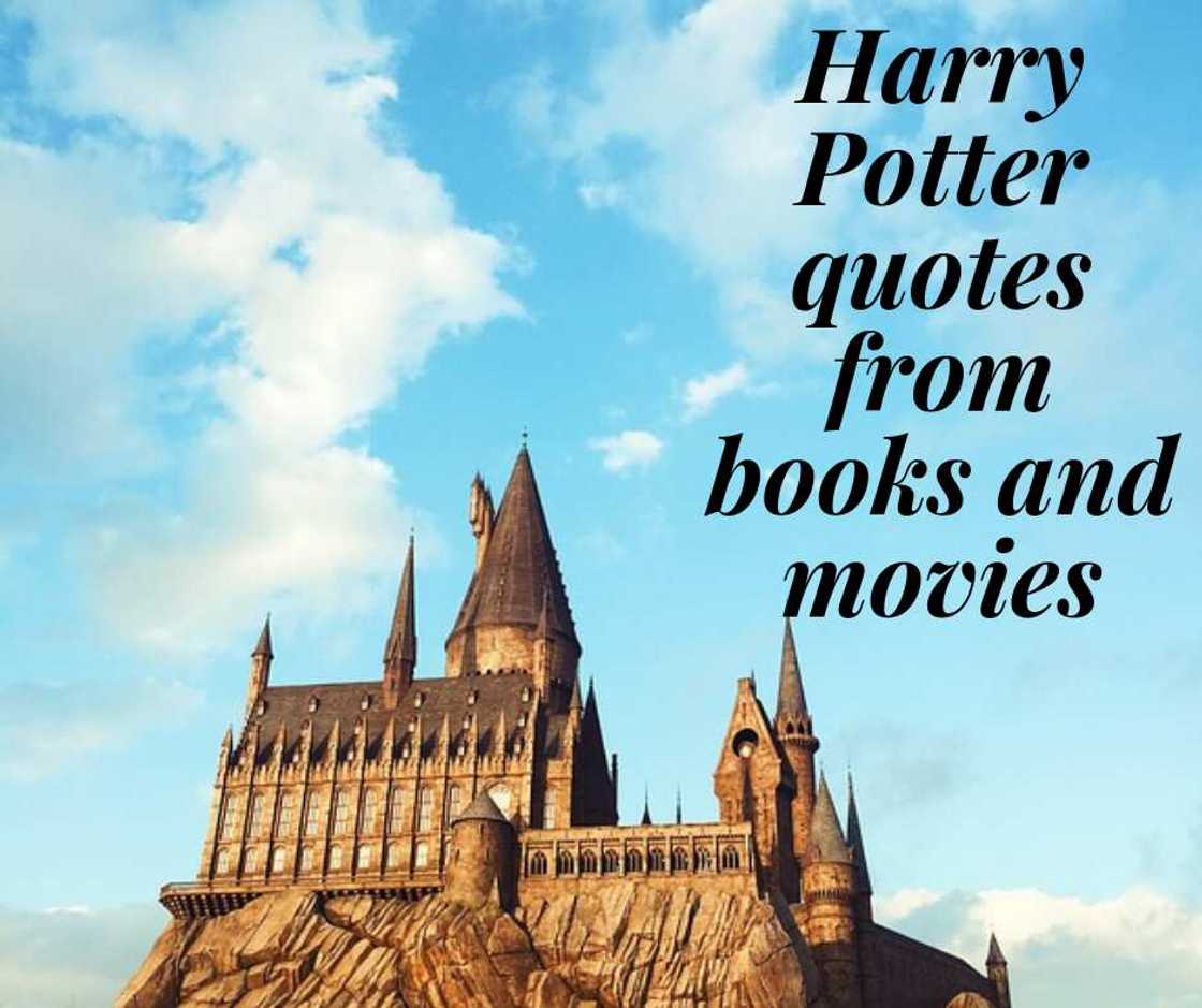 Harry Potter quotes Harry Potter quotes