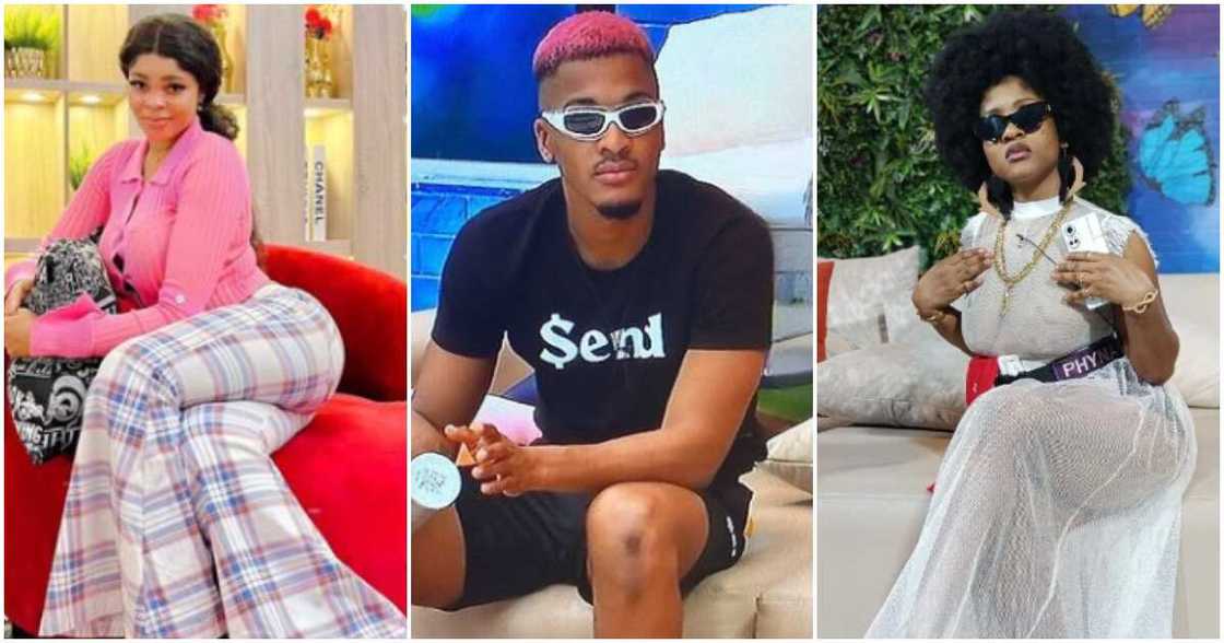 Big Brother Naija stars Chichi, Groovy, and Phyna