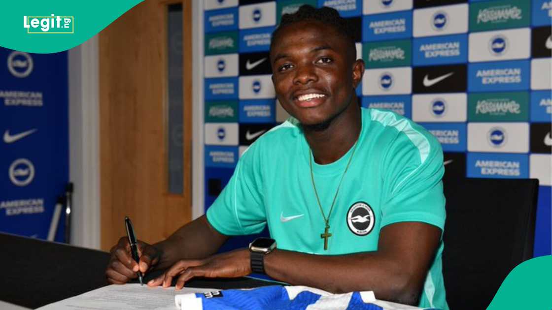 Zadok Yohanna, Brighton, Premier League, AIK Stockholm, Ikoh Allah Zadok Yohanna, Brighton, Premier League, AIK Stockholm, Ikoh Allah