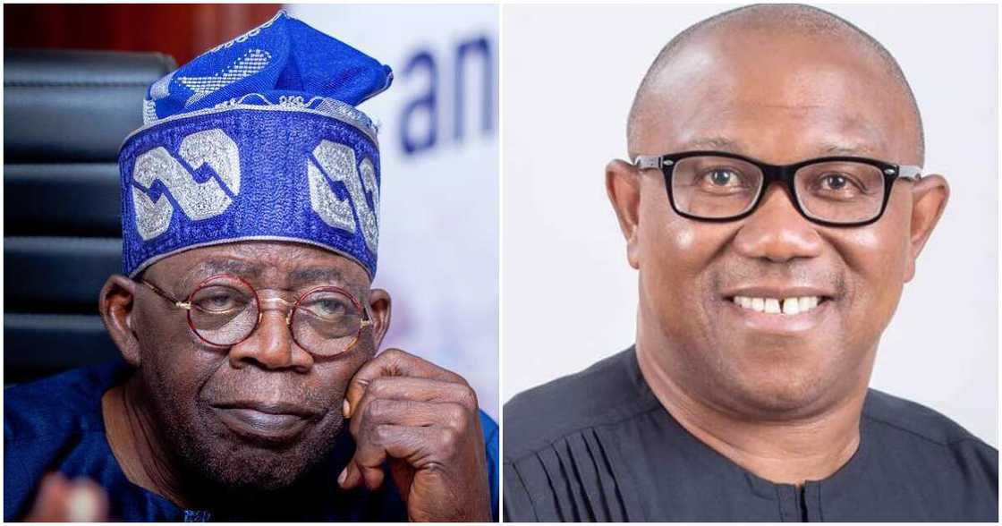 2023 presidential election, APC, APGA, Labour Party, South-East, Anambra state, Peter Obi, Bola Tinubu, The South-East zonal organising secretary, Peter Umeadi 2023 presidential election, APC, APGA, Labour Party, South-East, Anambra state, Peter Obi, Bola Tinubu, The South-East zonal organising secretary, Peter Umeadi