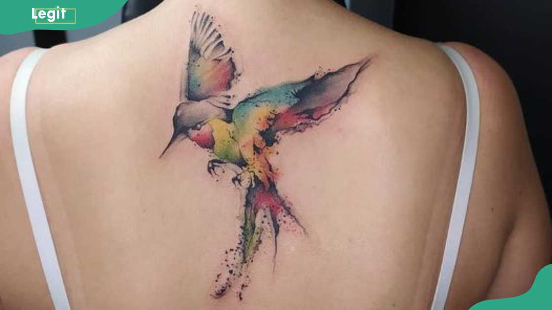 Bird spine tattoo