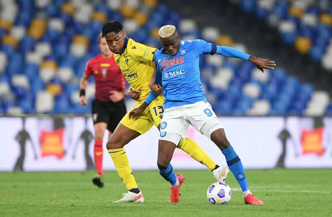Tottenham Hotspur Target Victor Osimhen As Kane Replacement Tottenham Hotspur Target Victor Osimhen As Kane Replacement