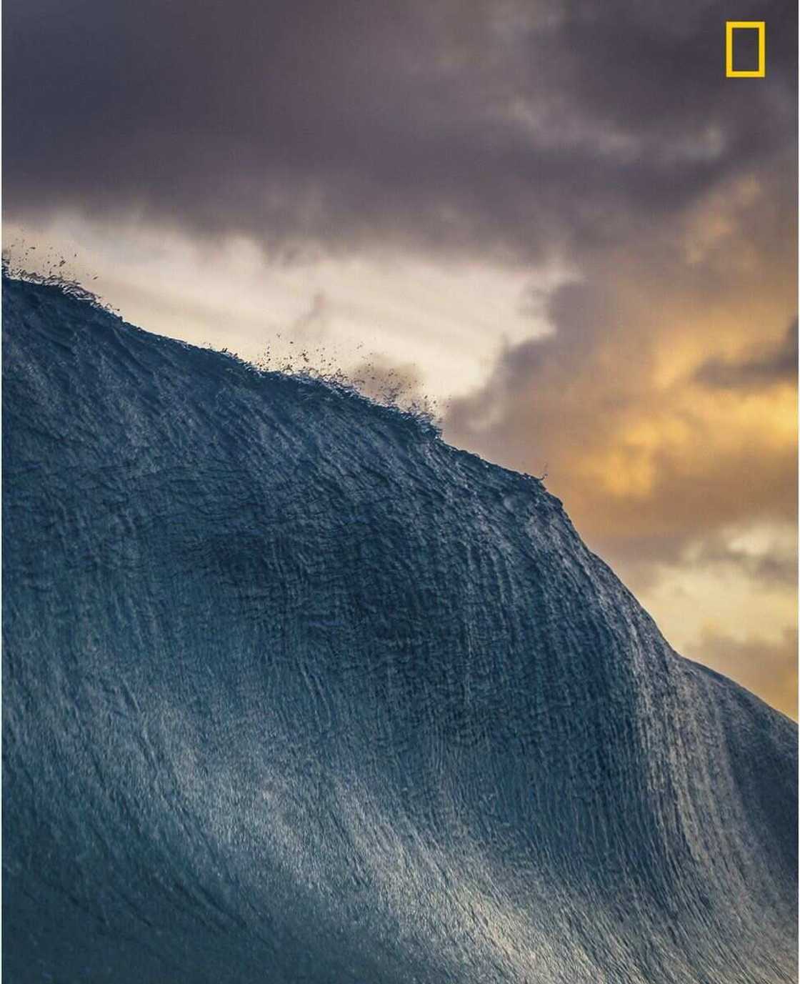 Hotunan da suka lashe gasar kyawawan hotuna ta duniya a wannan shekarar Hotunan da suka lashe gasar kyawawan hotuna ta duniya a wannan shekarar