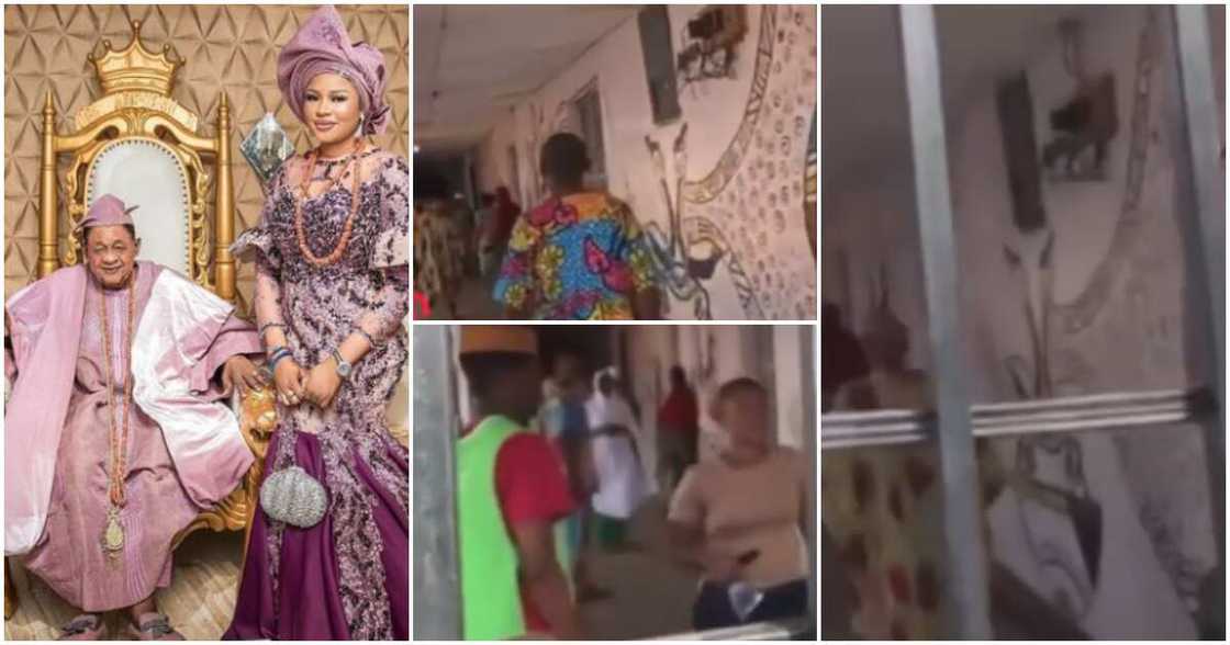 Alaafin of Oyo, Queen Dami Alaafin of Oyo, Queen Dami