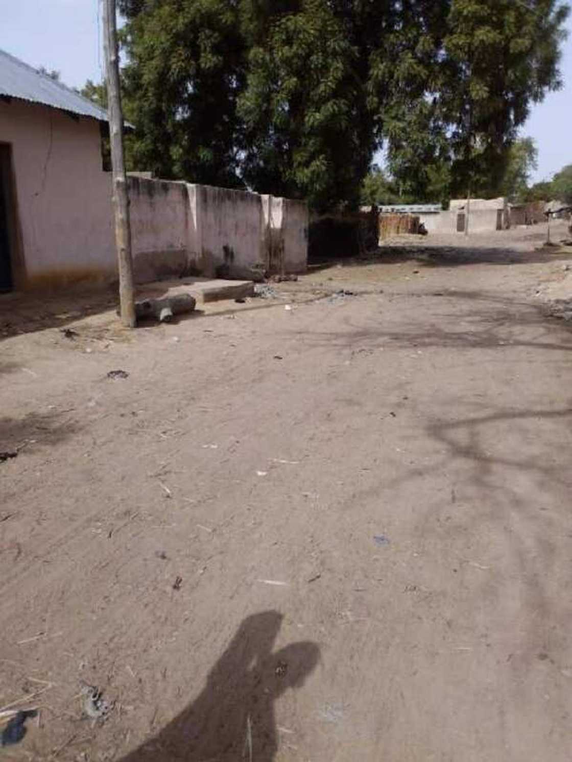 Boko Haram: Yadda Dapchi ta koma 'kufai' bayan harin 'yan ta'adda (Hotuna) Boko Haram: Yadda Dapchi ta koma 'kufai' bayan harin 'yan ta'adda (Hotuna)