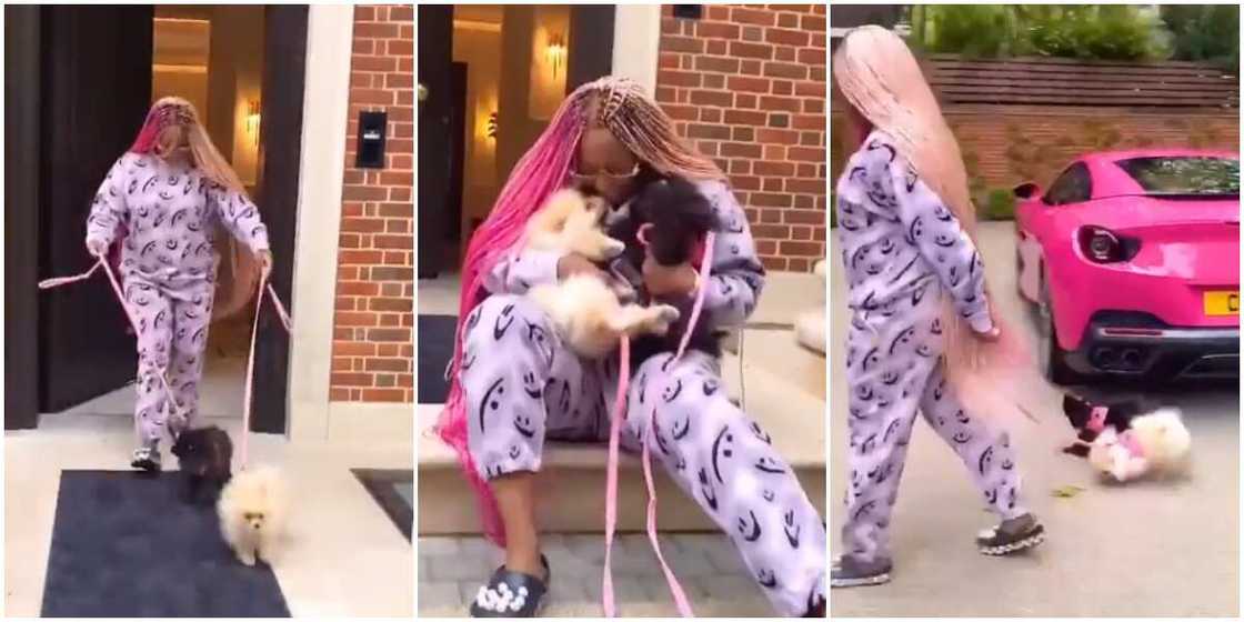 You’re Supposed to Take Your Kids: Reactions as DJ Cuppy, Her Dogs DuDu and FunFun Visit Grandpa Femi Otedola You’re Supposed to Take Your Kids: Reactions as DJ Cuppy, Her Dogs DuDu and FunFun Visit Grandpa Femi Otedola