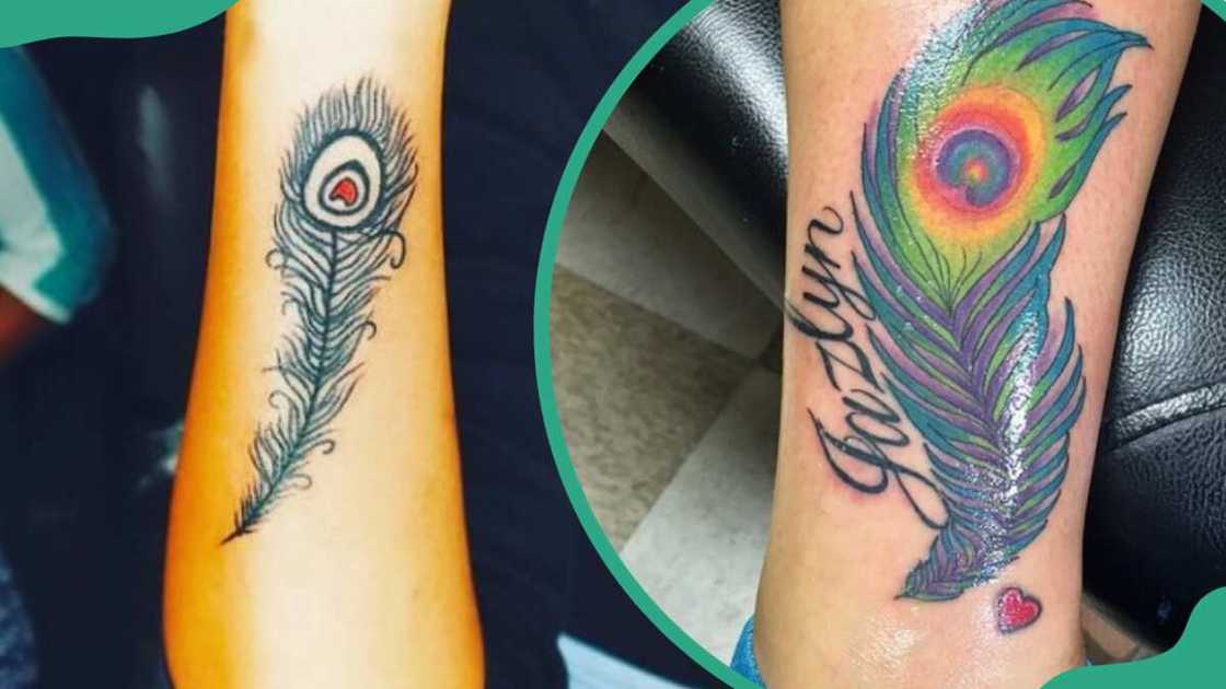 Peacock feather tattoos Peacock feather tattoos