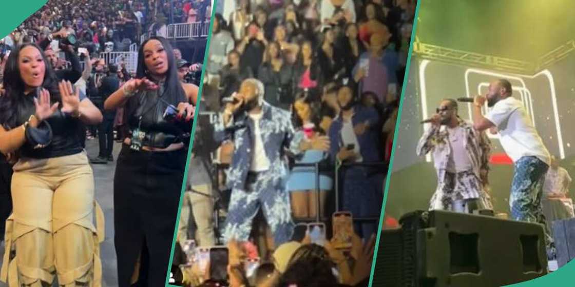 Davido's cousin Nike trends as she gave a tour of singer's AWAY concert Davido's cousin Nike trends as she gave a tour of singer's AWAY concert