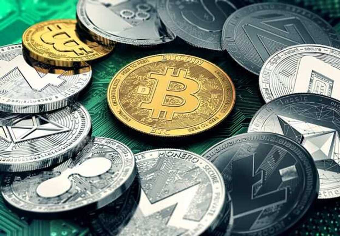 Why are we running backwards?: Nigerians kick over CBN's ban on cryptocurrency