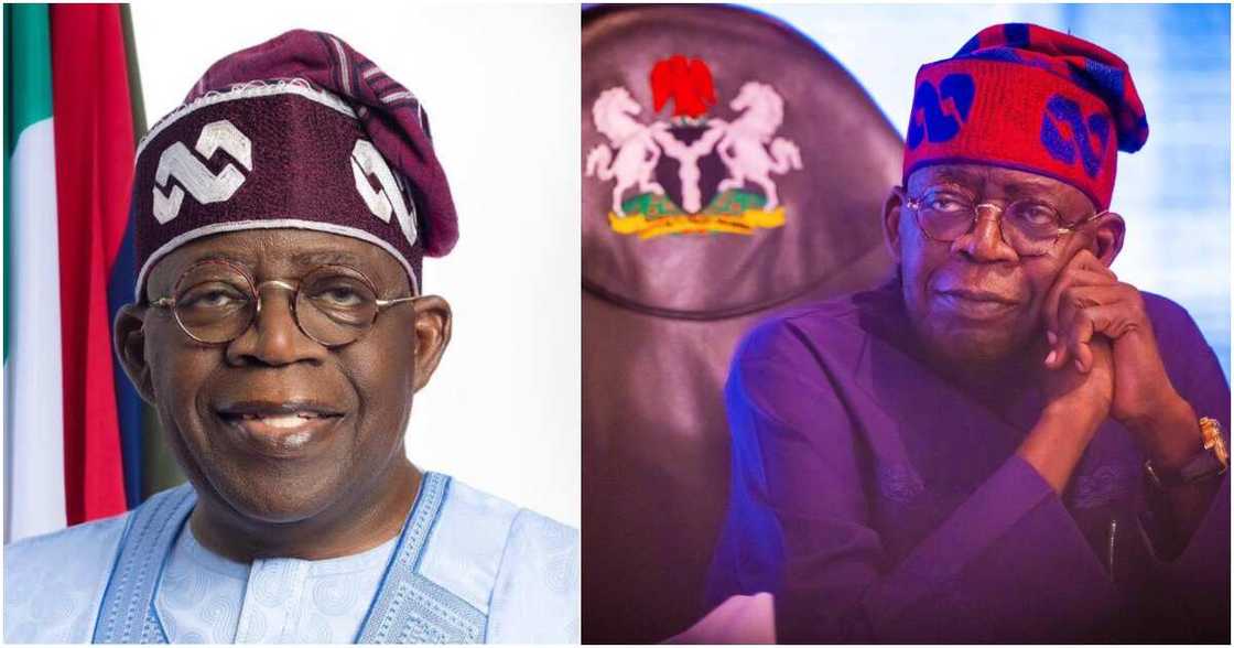 Bola Tinubu, APC, PDP, LP Bola Tinubu, APC, PDP, LP
