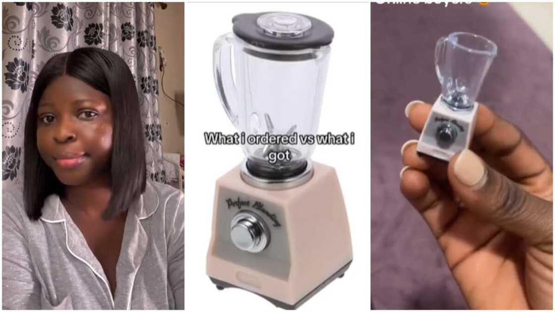 Toy blender online/Lady got her order. Toy blender online/Lady got her order.