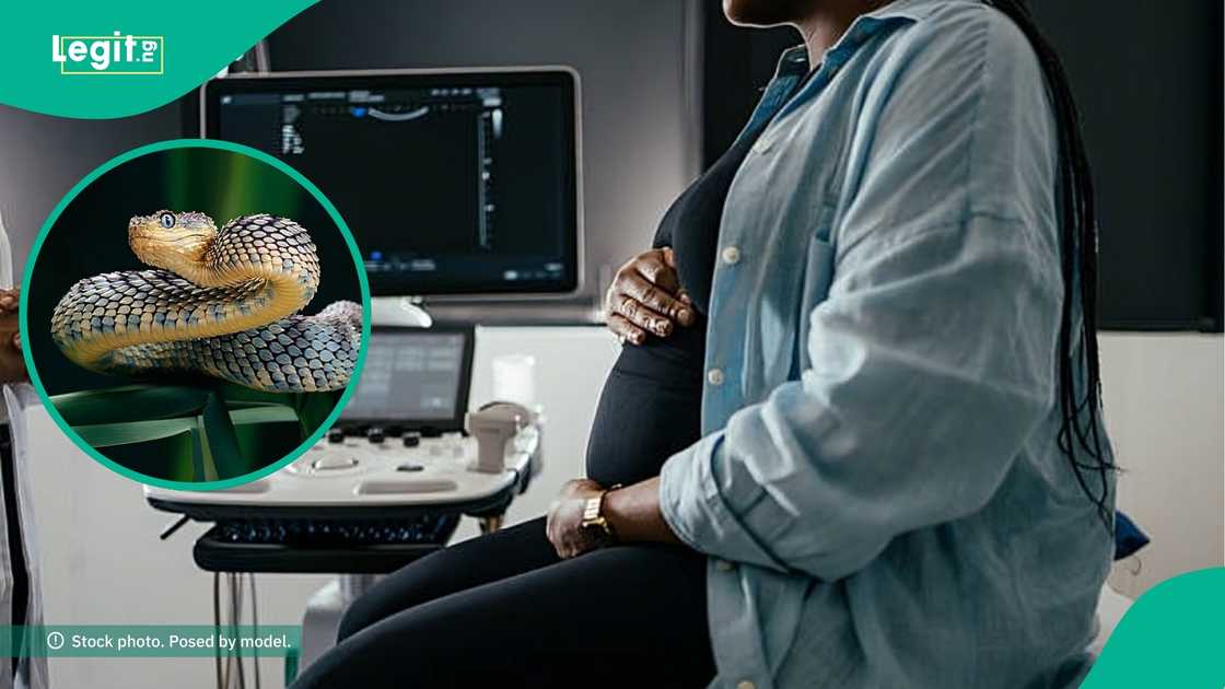 Lady survives a snake bite while pregnant, shares story Lady survives a snake bite while pregnant, shares story