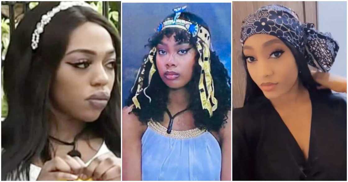 BBTitans nominations list. BBTitans nominations list.