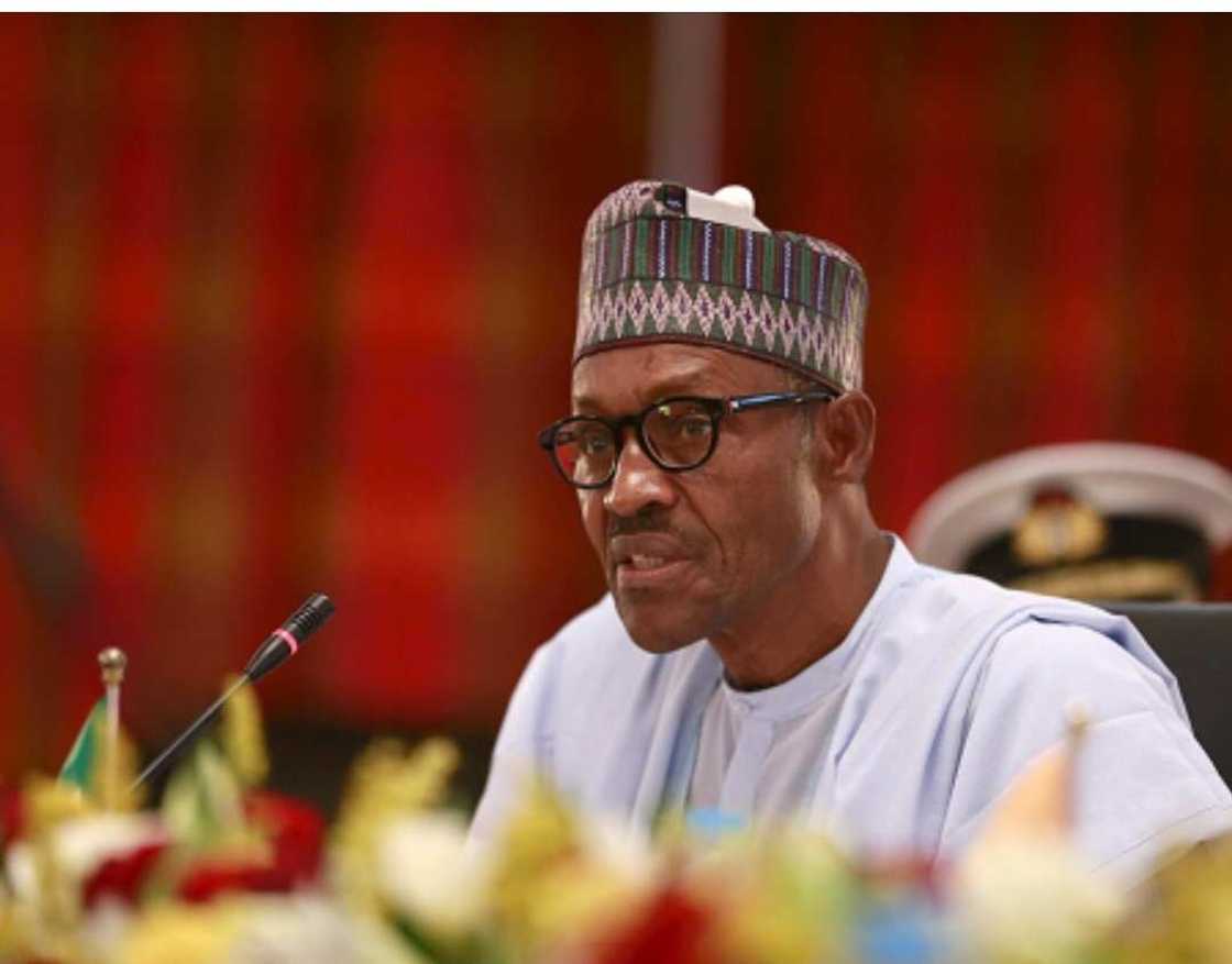 Why President Buhari is Sad Now, Defence Minister Reveals Why President Buhari is Sad Now, Defence Minister Reveals