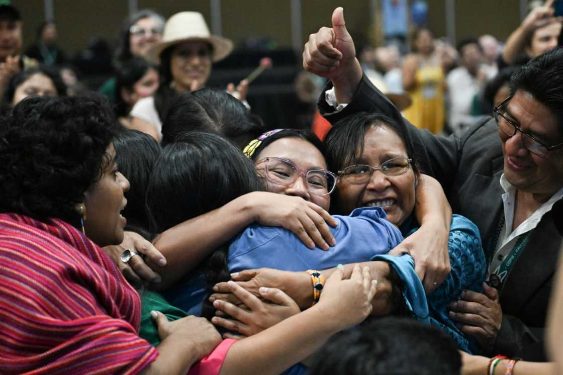 Indigenous representative celebrated a decision at COP16 to create a body dedicated to their interests Indigenous representative celebrated a decision at COP16 to create a body dedicated to their interests
