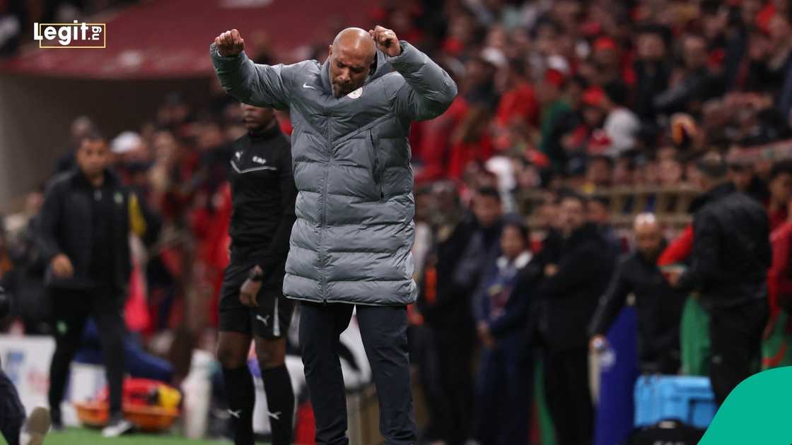 Super Eagles, Nigeria, Eric Chelle, AFCON, Football, Africa.