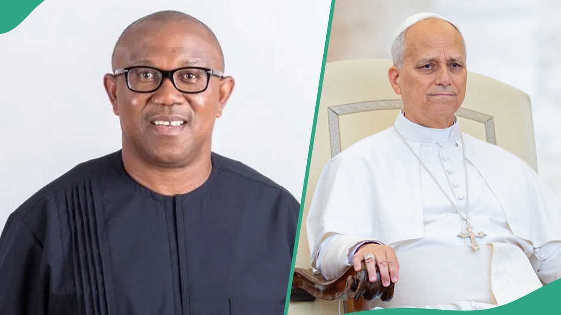 Peter Obi greets Pope Leo XIV on 70th birthday