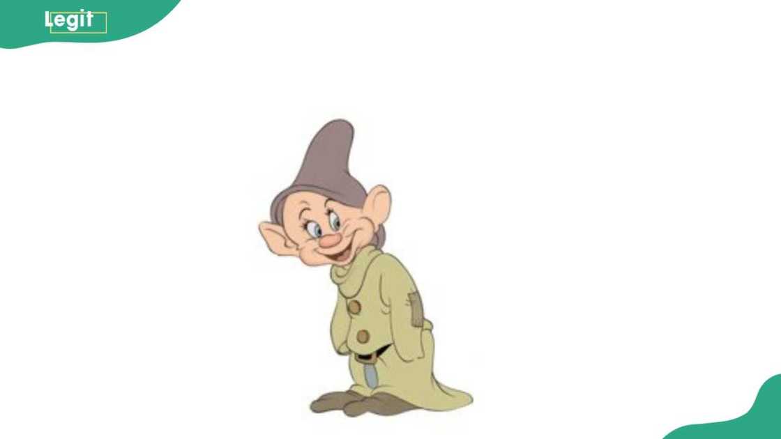 Dopey looking happy Dopey looking happy