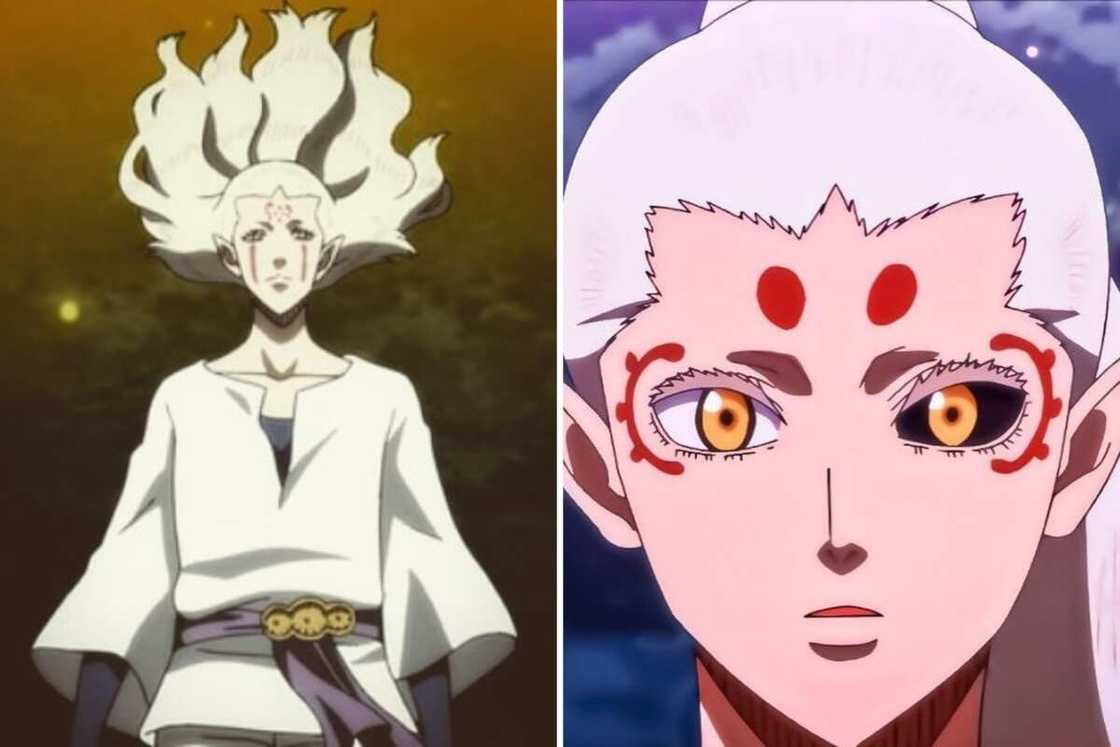 White-haired anime characters male White-haired anime characters male