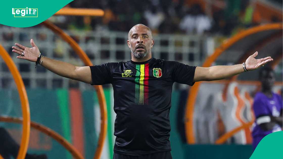 Eric Chelle, Mali, Tunisia, Ivory Coast, AFCON 2023. Eric Chelle, Mali, Tunisia, Ivory Coast, AFCON 2023.