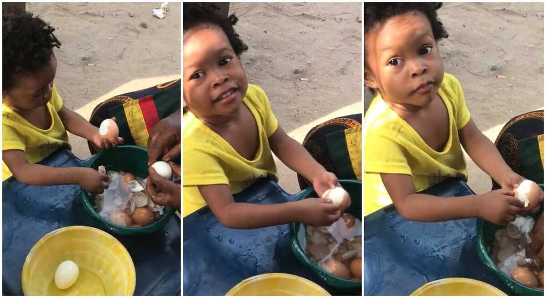 Photos of a girl peeling boiled eggs.