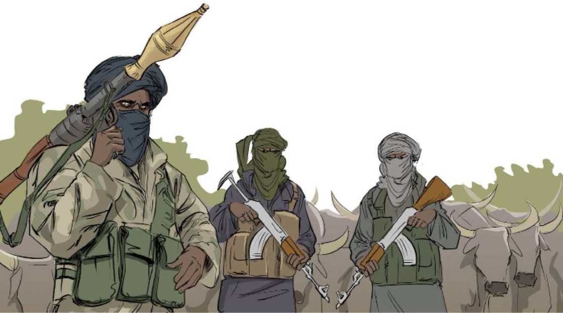 Ali Kachalla: Hatsabibin shugaban 'yan bindigan Zamfara da ya harbo jirgin NAF Ali Kachalla: Hatsabibin shugaban 'yan bindigan Zamfara da ya harbo jirgin NAF