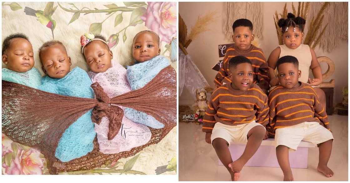 Adorable quadruplets causes stir online