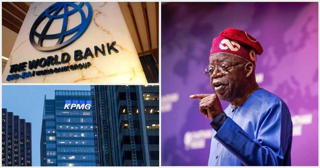 World bank Economic prediction ahead of Tinubu govt