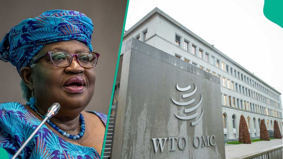 The WTO opens applications for its 2026 Model WTO, inviting Nigerian and international students to join a unique learning experience. The WTO opens applications for its 2026 Model WTO, inviting Nigerian and international students to join a unique learning experience.