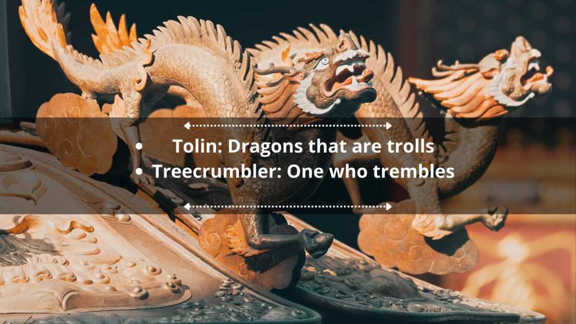 Funny dragonborn last names Funny dragonborn last names