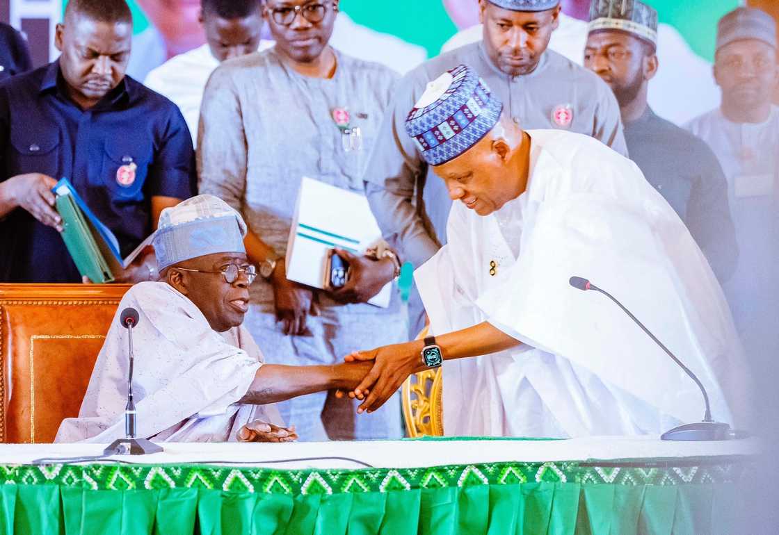 Shettima ya ja kunnen 'yan adawa kan takara da Tinubu