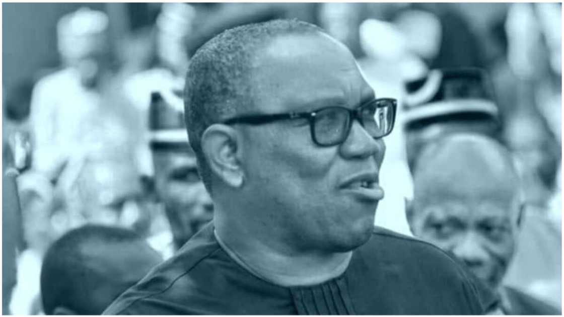 Peter Obi/2023 elections/Labour Party/Osun 2022/Ademola Adeleke Peter Obi/2023 elections/Labour Party/Osun 2022/Ademola Adeleke