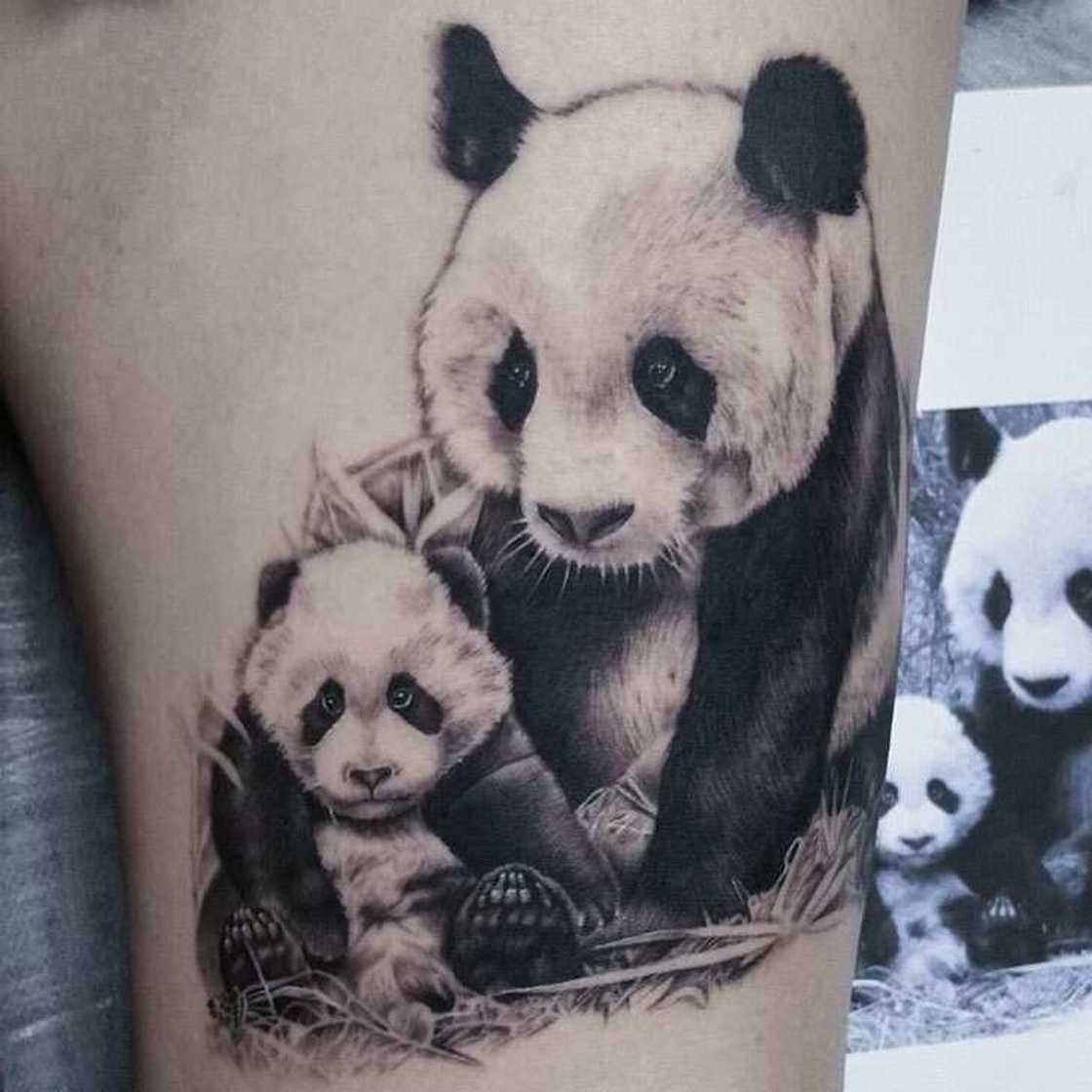 bear tattoo bear tattoo