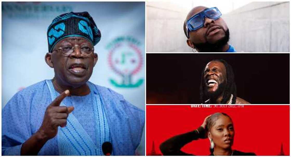 Tinubu, Nigerian musicians