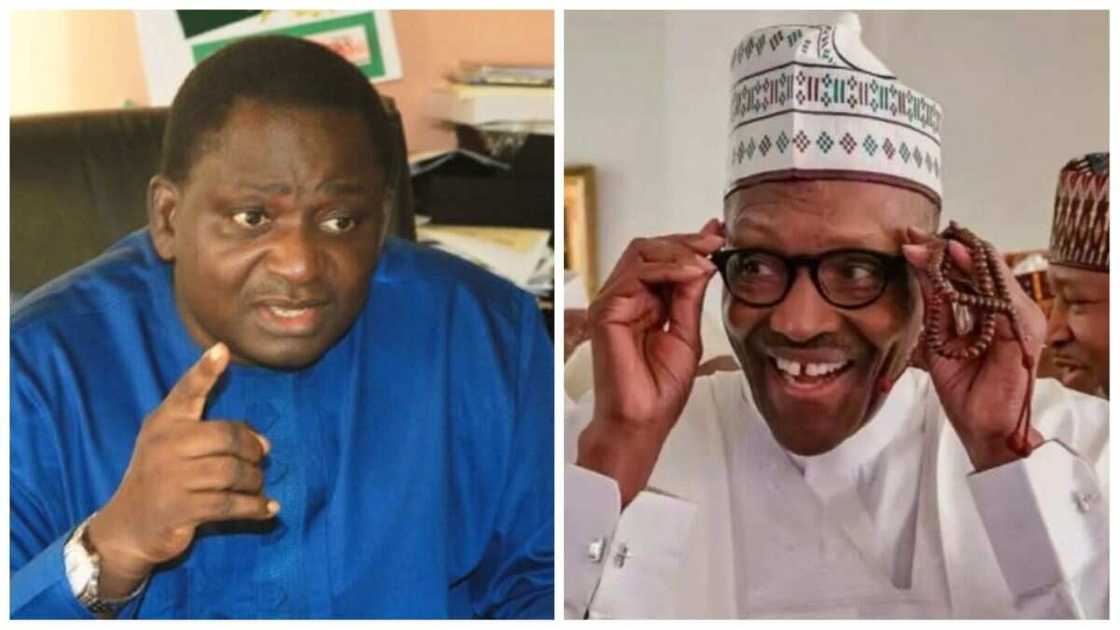 Muhammadu Buhari, Femi Adesina